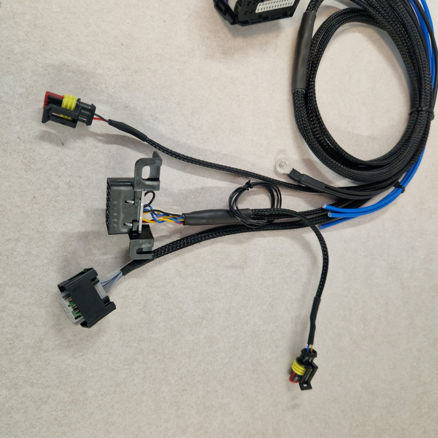 M57N/M47N standalone wiring loom